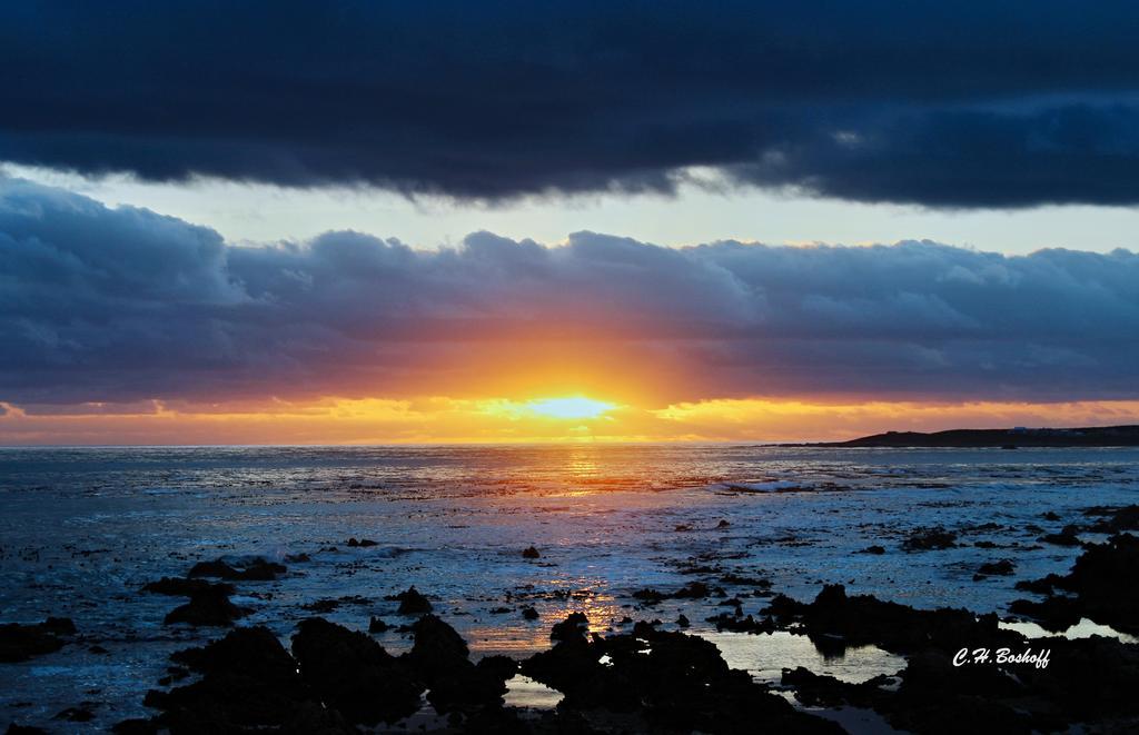 Walkerbay Accommodation Gansbaai Exteriér fotografie