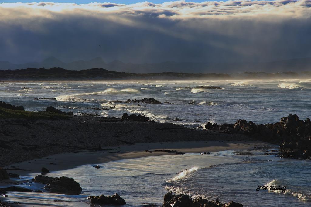 Walkerbay Accommodation Gansbaai Exteriér fotografie